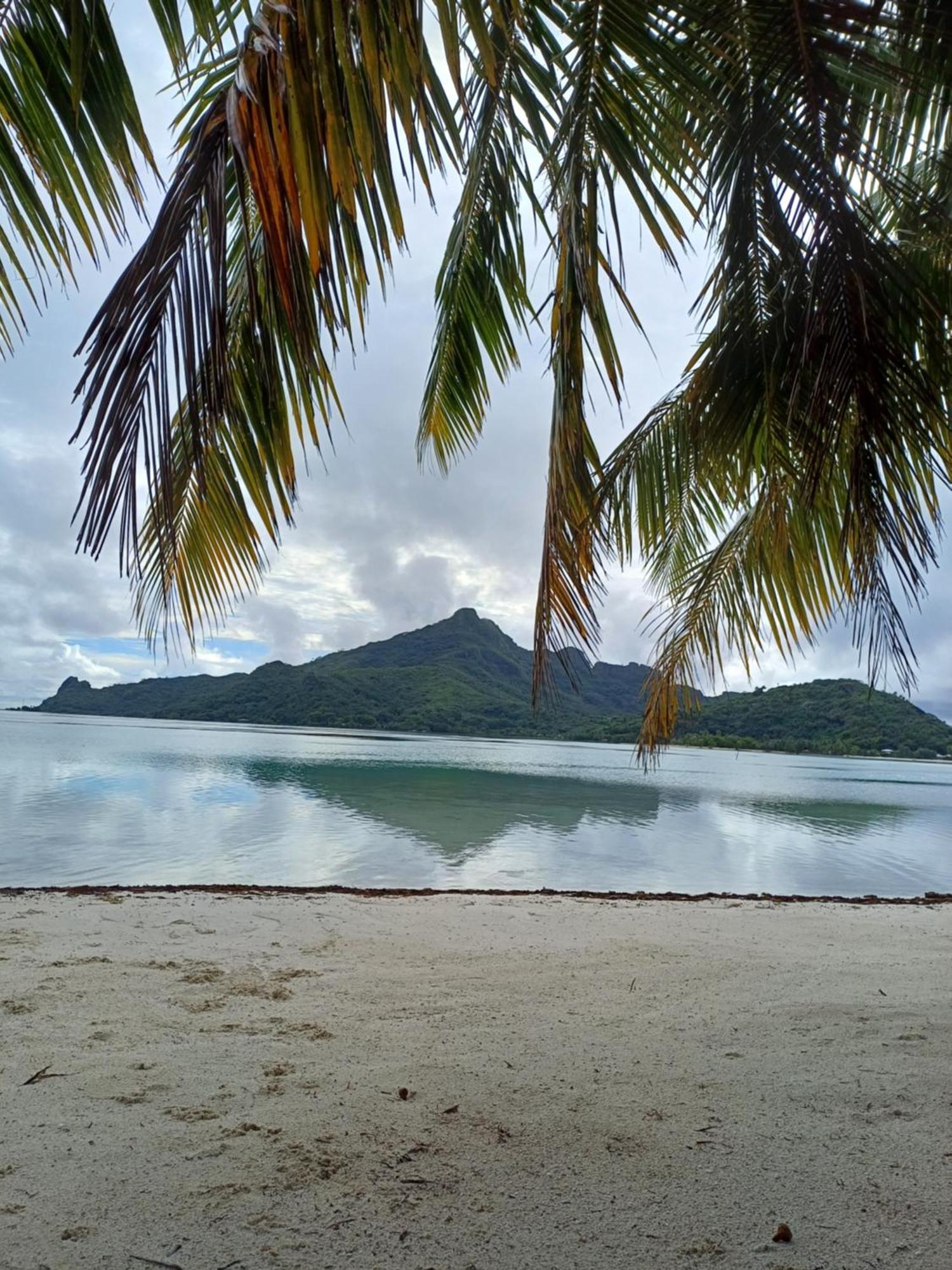 Poemanahere Island Camping A Maupiti Te-Fare-Arii Bagian luar foto
