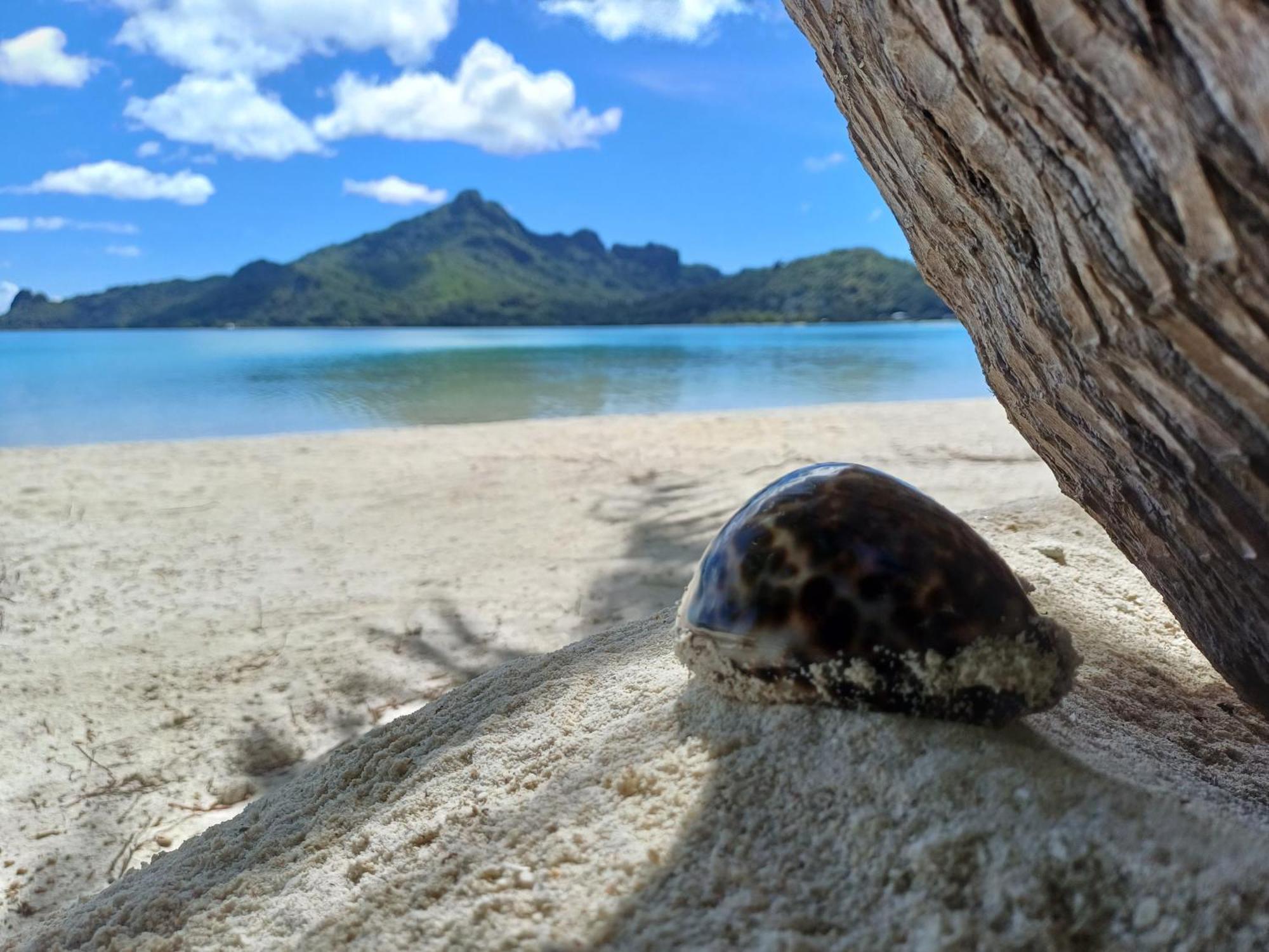 Poemanahere Island Camping A Maupiti Te-Fare-Arii Bagian luar foto