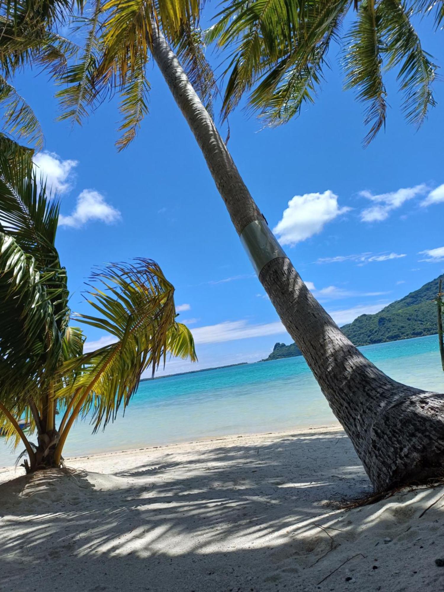Poemanahere Island Camping A Maupiti Te-Fare-Arii Bagian luar foto