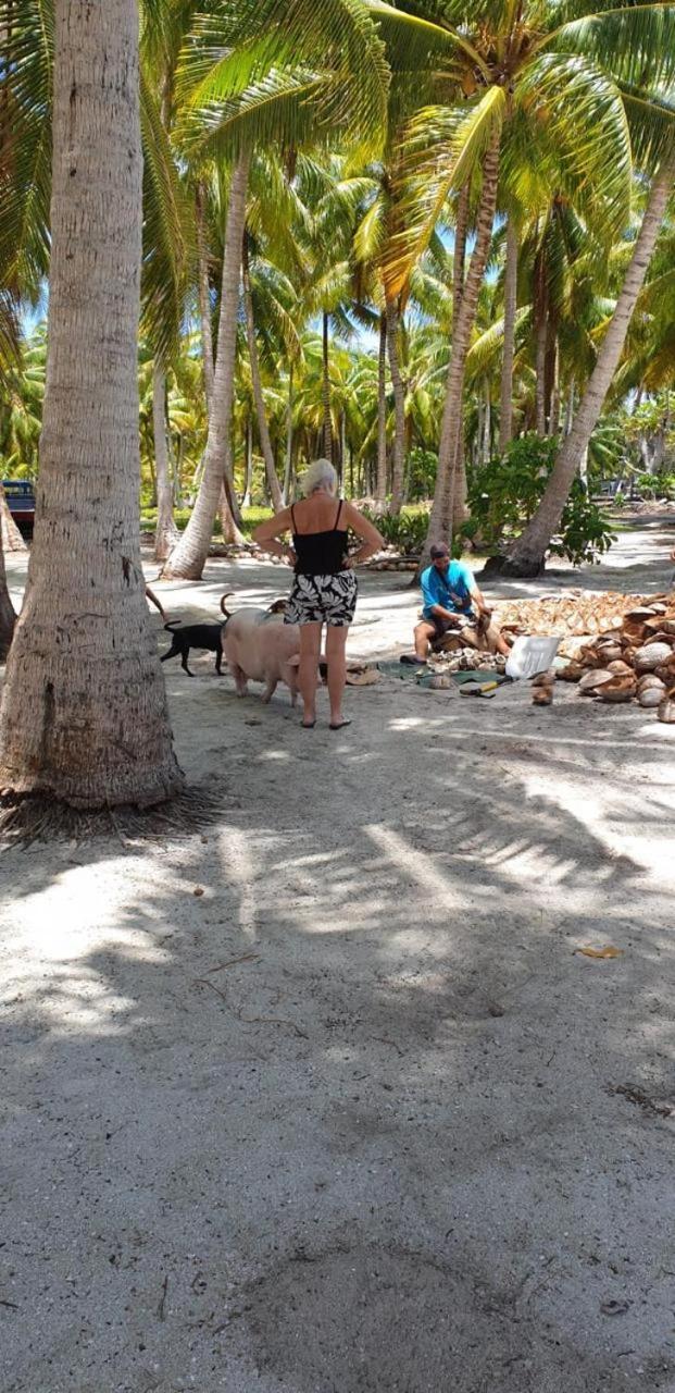 Poemanahere Island Camping A Maupiti Te-Fare-Arii Bagian luar foto